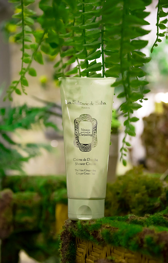 Shower Cream - Ginger Green Tea Fragrance