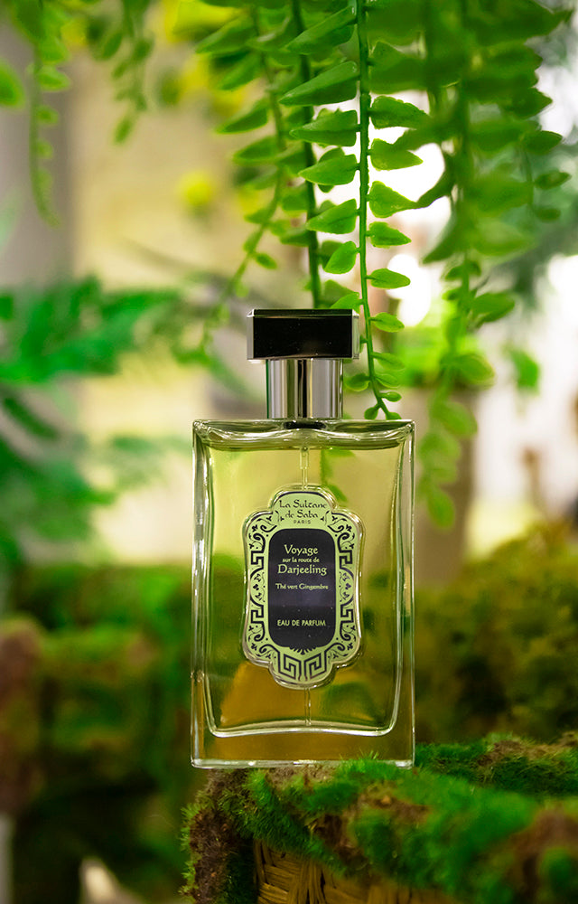 Eau de Parfum - Senteur Thé Vert Gingembre – La Sultane de Saba
