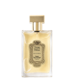 Orange Blossom