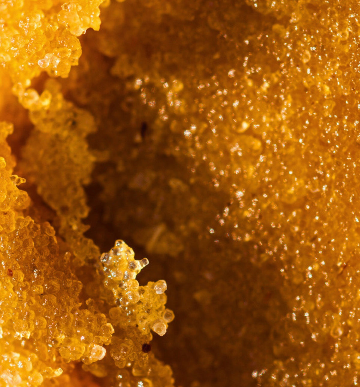 Sugar Scrub | Jasmine and Tropical Flowers