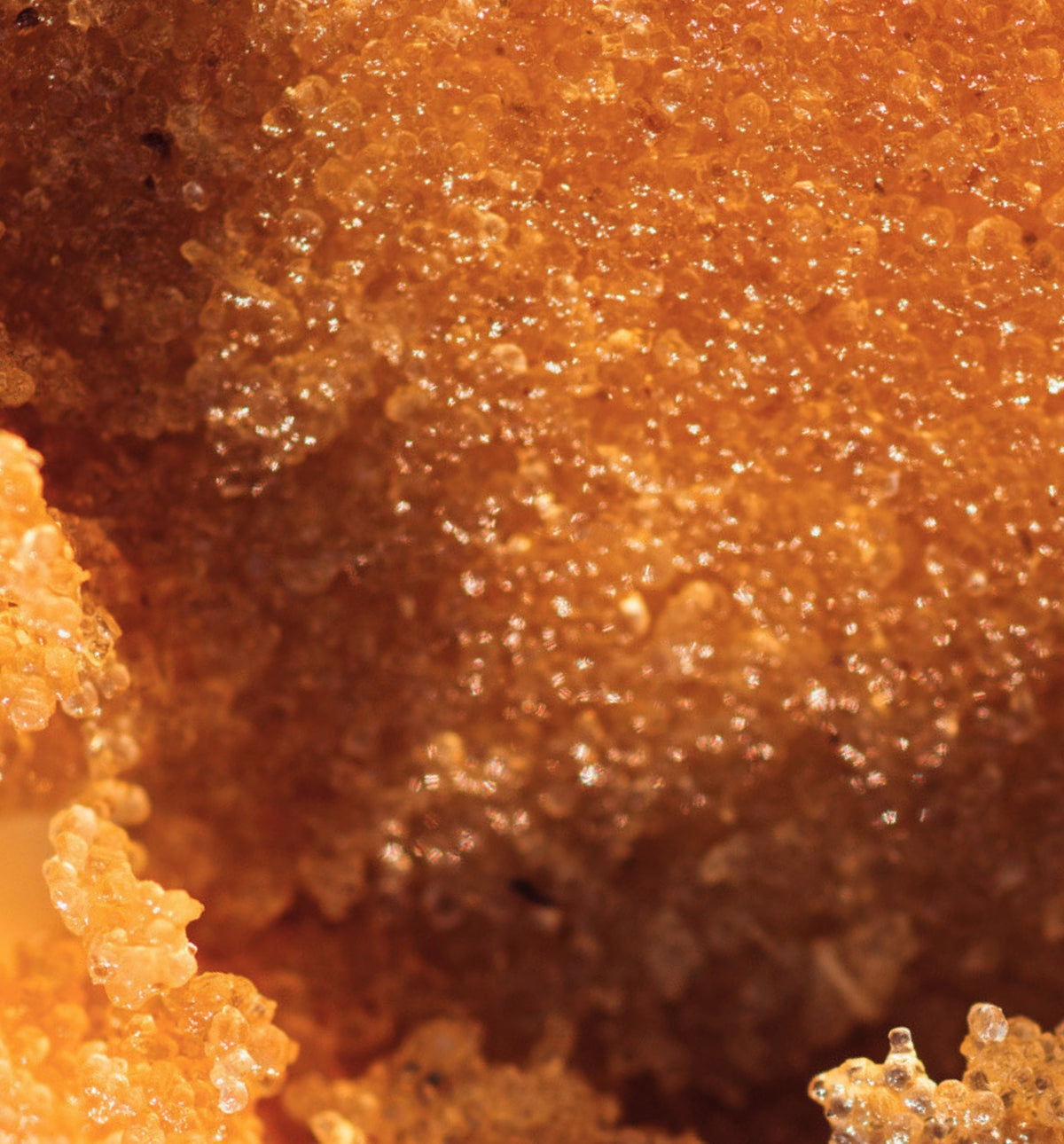 Sugar Scrub | Rose