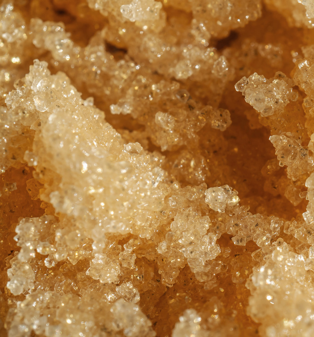 Exfoliating Sugar | Rose