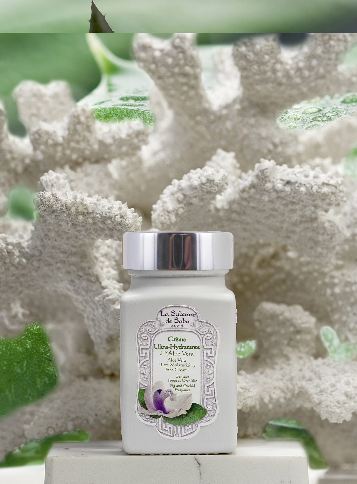 Aloe Vera Ultra Moisturizing Cream - Fig and Orchid Fragrance