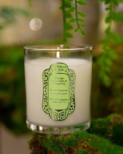 Candle - Ginger Green Tea Fragrance