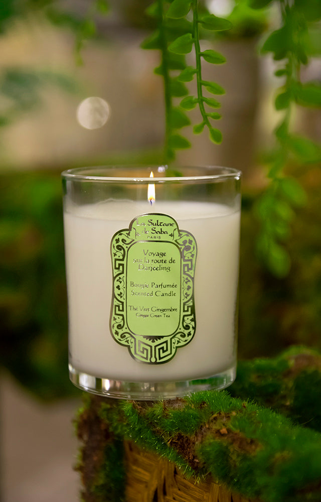Candle - Ginger Green Tea Fragrance