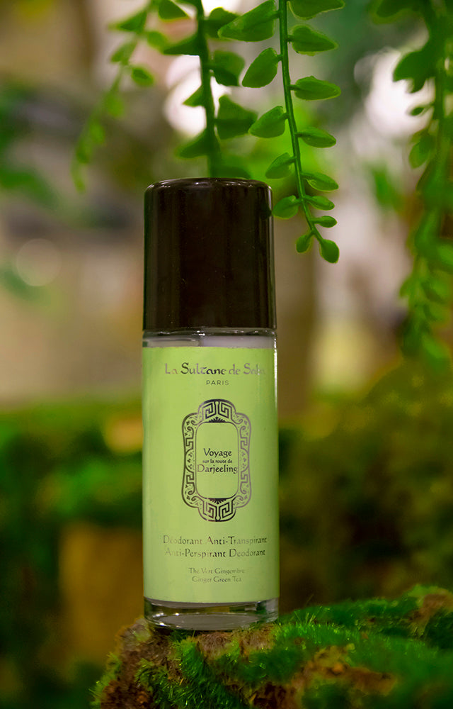 Anti-Perspirant Deodorant - Ginger Green Tea Fragrance