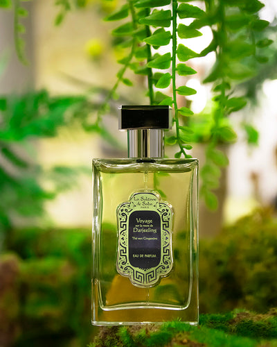 Perfume - Ginger Green Tea Fragrance