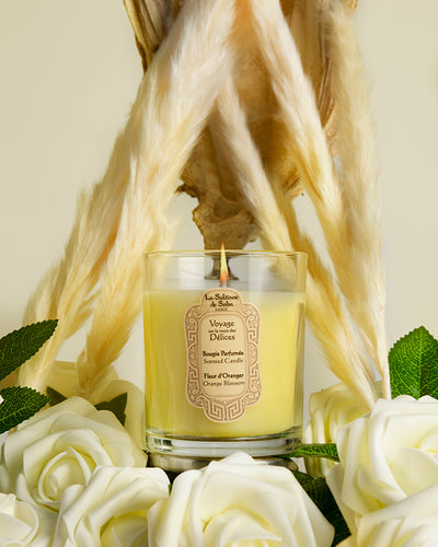 Candle - Orange Blossom Fragrance