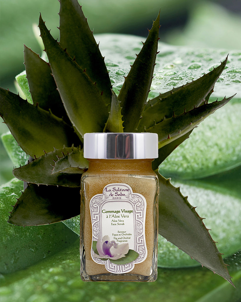 Aloe Vera Face Scrub - Fig and Orchid Fragrance